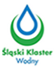 Slaski klaster